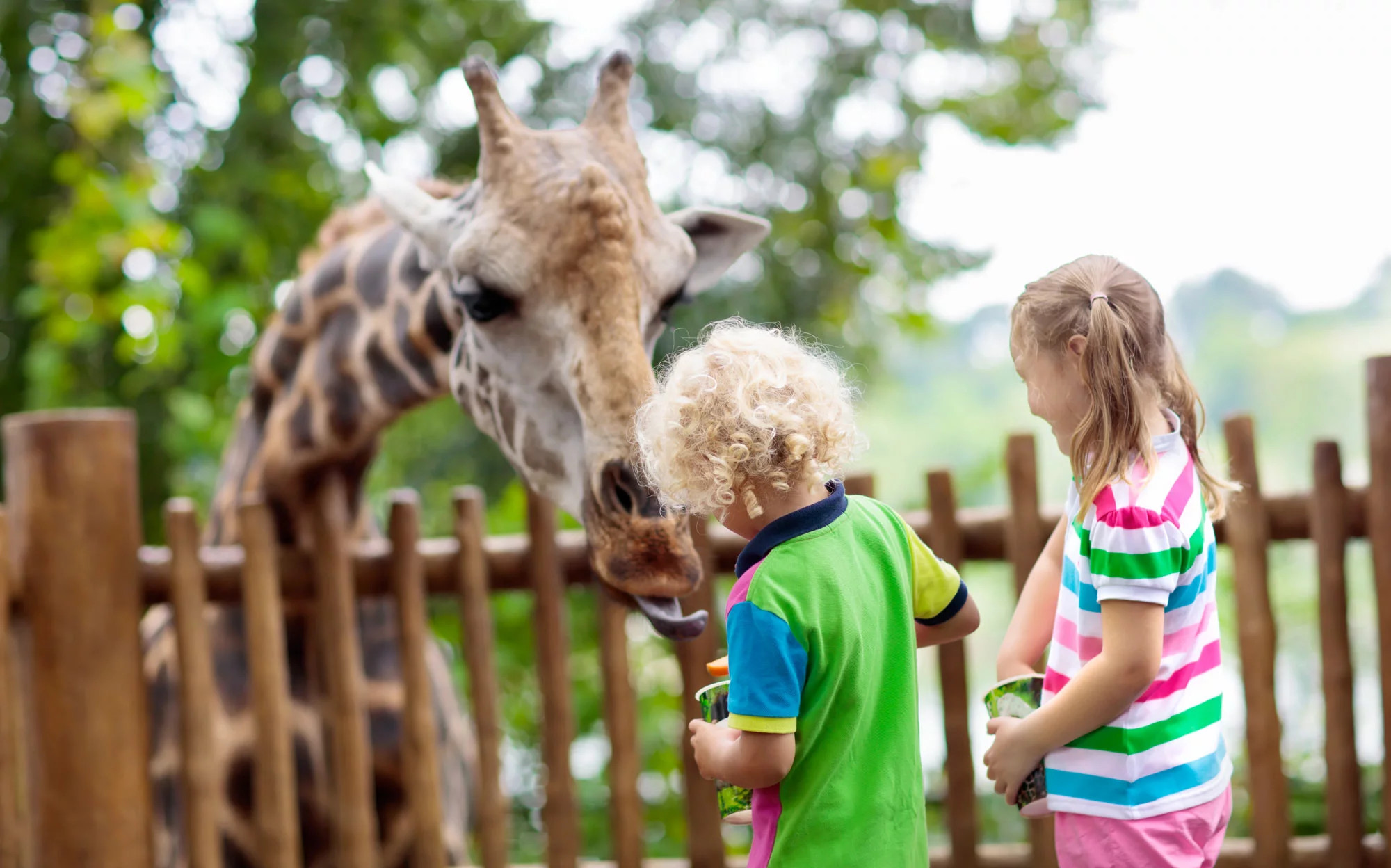 media.Slide-Parchi-Cesenatico-CFH-TosiBeach